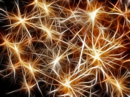 Rolul individual al neuronilor în bolile neurodegenerative