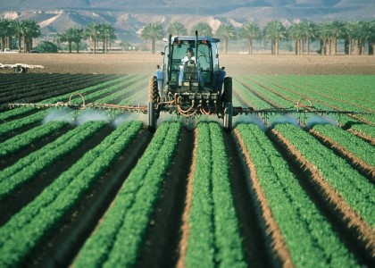 Care este legătura între expunerea la pesticide și bola Parkinson?