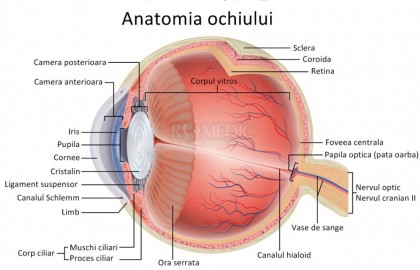 O nouă terapie poate opri pierderea progresivă a vederii