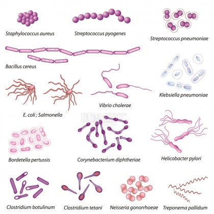 Topul celor mai periculoase bacterii - și riscul de a intra în contact cu ele