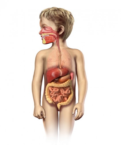 Cancerul hepatic - Hepatoblastomul