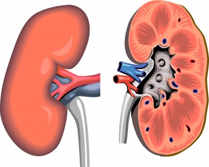 Sindromul hepato-renal