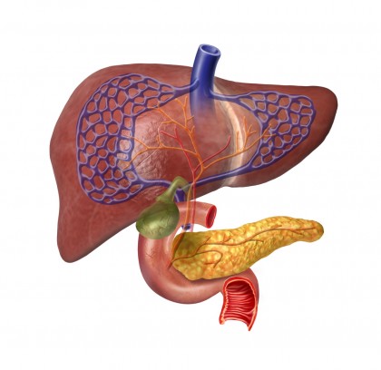 Glicogenul - metabolism și patologii asociate