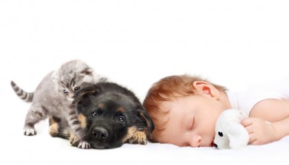 Copiii care dorm cu animalul de companie pot avea un somn odihnitor