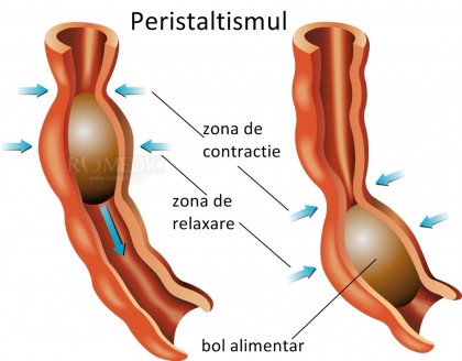 Spasmul esofagian