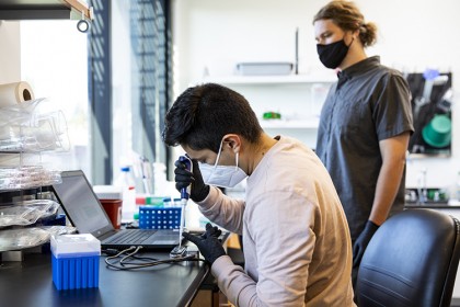 Microsoft, colaborare cu Universitatea din Washington în studiul NanoporeTERs