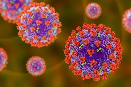 Estimarea perioadei infecțioase SARS-CoV-2: cele două săptămâni de carantină ar putea fi insuficiente