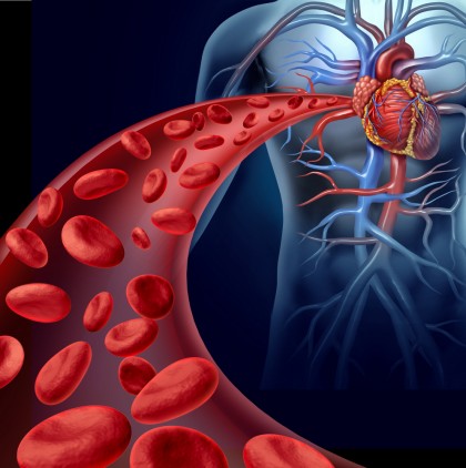 Persoanele cu risc crescut de a dezvolta boli cardiovasculare, identificate folosind o nouă modalitate