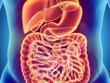 Aditiv alimentar prezent în multe alimente procesate, asociat cu modificări negative ale microbiotei intestinale