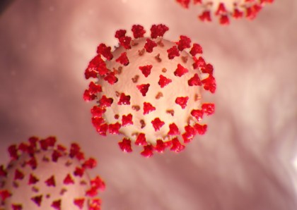 Anticorpi care neutralizează varianta Omicron și alte variante ale SARS-CoV-2