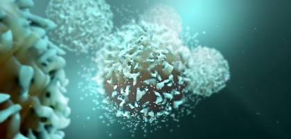 Transplantul de insule pancreatice: nanoterapia poate crește eficiența medicamentelor imunosupresoare