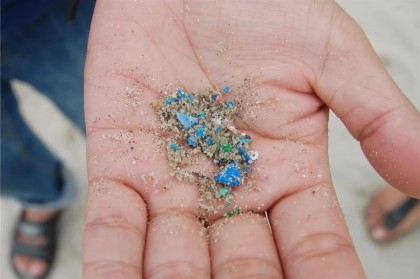 Impactul microparticulelor de plastic din polipropilenă asupra organismelor din apă