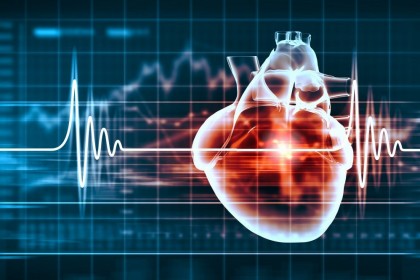 Îndepărtarea unei proteine ar putea reduce riscul de apariție al afecțiunilor cardiovasculare