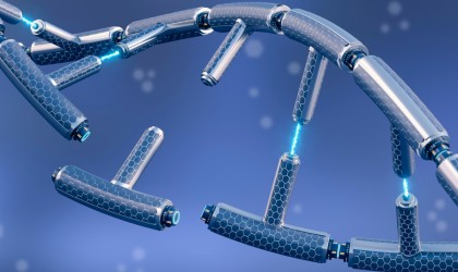 Incapacitatea organismului de a vindeca ADN-ul deteriorat, pusă pe seama mobilității cromatinei