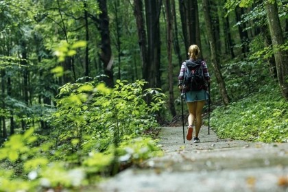 Plimbările de scurtă durată în natură pot reduce incidența bolilor mintale