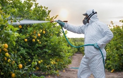 Pot afecta pesticidele dezvoltarea copiilor?