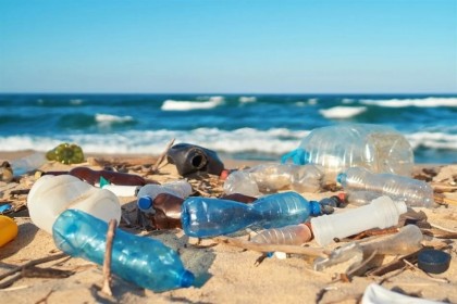 Microplasticele sunt prezente în fecalele umane la aproape 60% dintre oameni