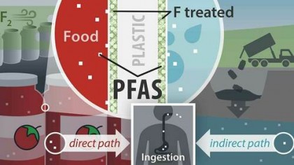 Recipientele din plastic fluorurat, folosite inclus în ambalajele alimentare, ar putea conține substanțe chimice periculoase pentru om