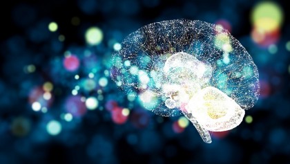 Care sunt provocările actuale în cercetarea regenerării creierului uman și cum pot fi ele depășite?