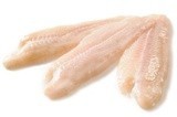 Pangasius