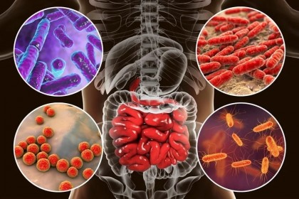 Rolul microbiomului intestinal și al disbiozei microbiene în bolile comune ale pielii
