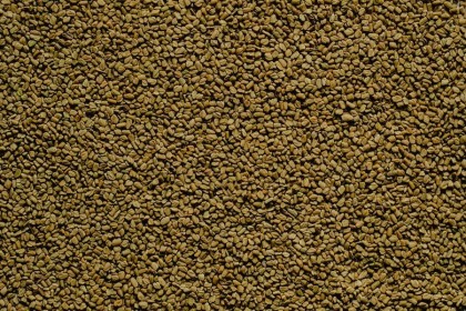 Un nou superaliment: semințele de schinduf