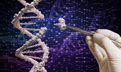 Cercetătorii descoperă repararea ADN-ului uman prin metamorfoză nucleară