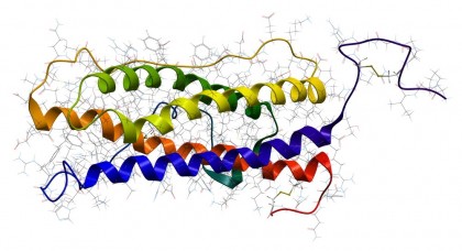 Hiperprolactinemia