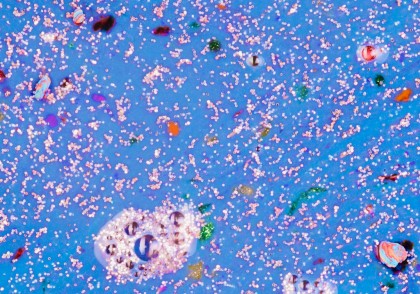 Poluarea invizibilă cu microplastice și nanoplastice în aerul urban: risc major pentru sănătate