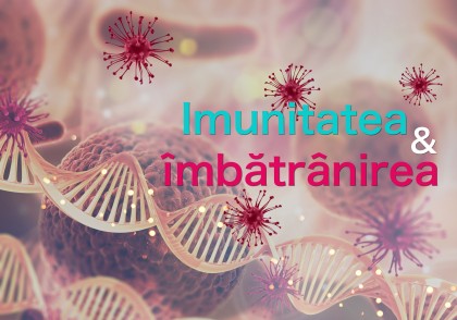 Imunitatea și îmbătrânirea