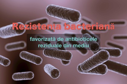 Antibioticele reziduale din mediu accelerează dezvoltarea rezistenței bacteriene