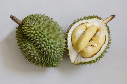 O echipă de cercetători din Singapore transformă coji de durian în plasturi antibacterieni