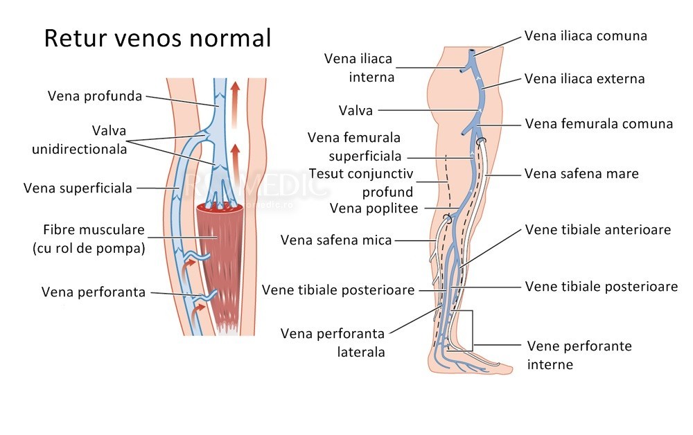 artroza deformantă a unguentului genunchiului