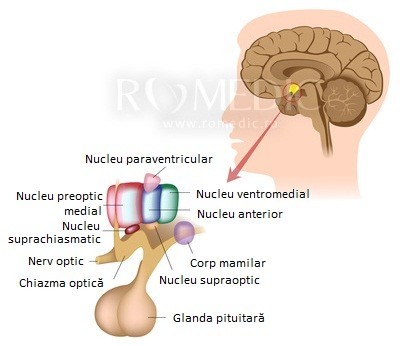 adenom hipofizar simptome