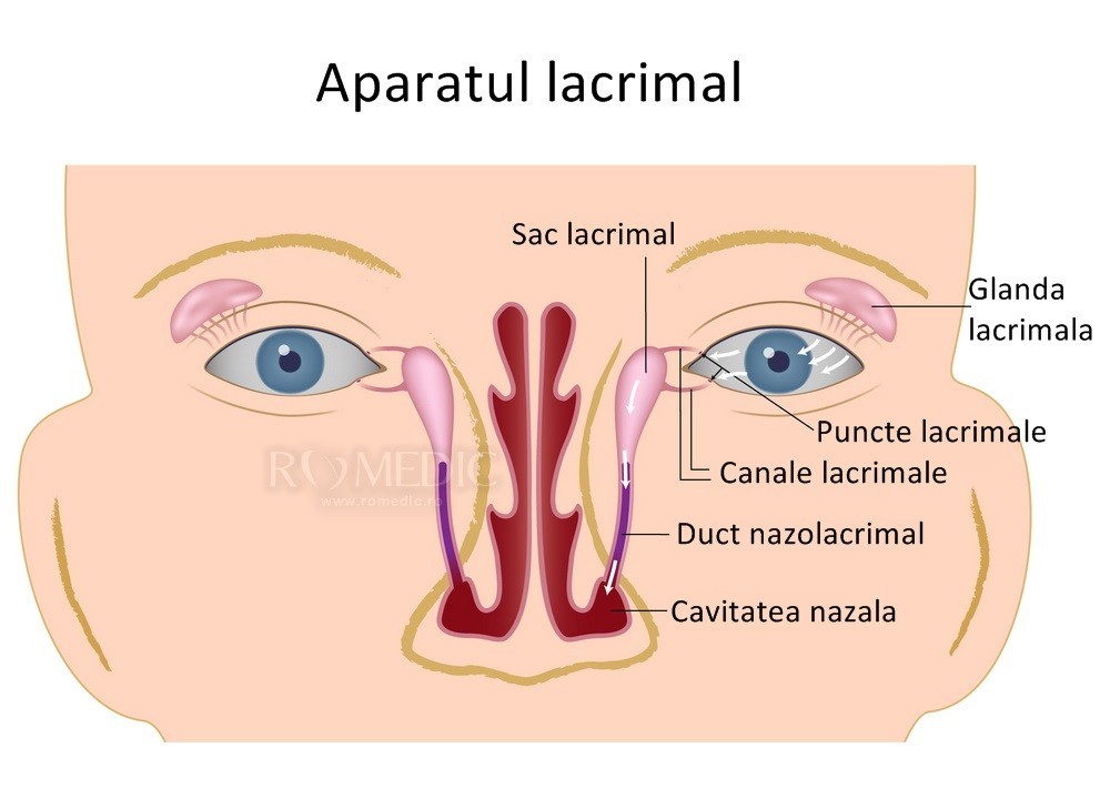 Orbirea și deficiența de vedere