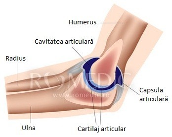 limitarea flexiunii articulației cotului cu durere)