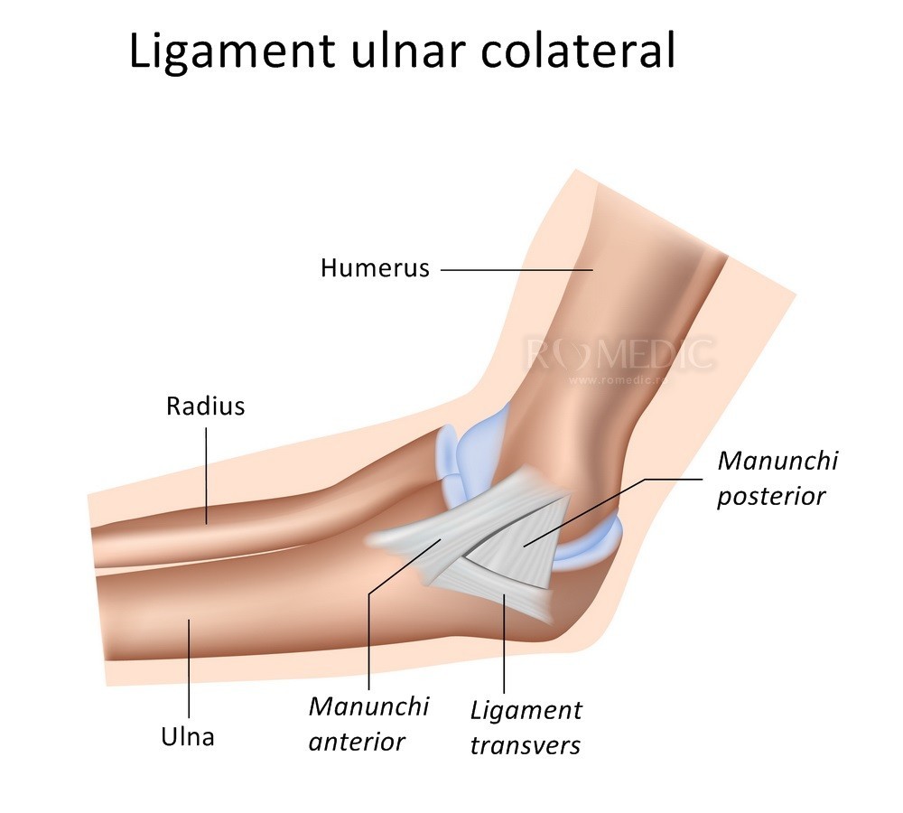 ligamentul articulației cotului doare