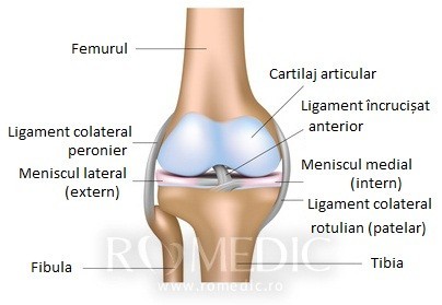 Dureri in spatele genunchilor: cauze si remedii