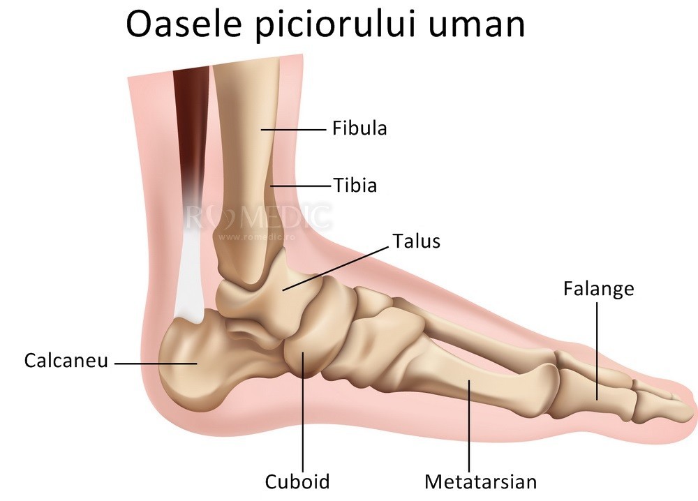 durere în articulațiile metatarsiene pe un picior