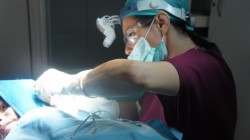 CHIRURGIE ESTETICA - OTOPLASTIE- 0040722532299