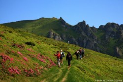 GRATUIT! 20 – 25 Iulie. Tabara de vara - "Cum iti rescrii scenariul de viata!" – Brasov!