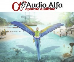 Auzul și problemele acestuia