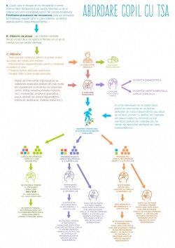 ABORDAREA NAPOCENSIS A COPILULUI CU TULBURARE DIN SPECTRU AUTIST