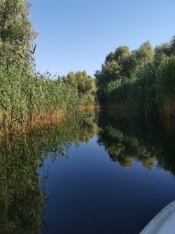 Un exercițiu simplu de relaxare