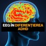 Afla rolul EEG in diferentierea ADHD-ului la Adulți