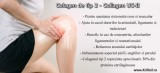 Reduceri medicale: Colagen tip 2, Collagen UC-II 40 mg 30 Comprimate