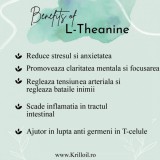 Reduceri medicale: L-Theanine 200mg + Inulina 100mg 90 Capsule