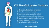 Reduceri medicale: CLA 1000mg 30 Capsule