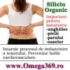 Siliciu organic