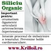 Siliciu organic pentru dureri oase